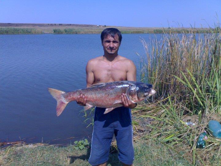 pescuit - 66579_152721918098221_2675560_n.jpg